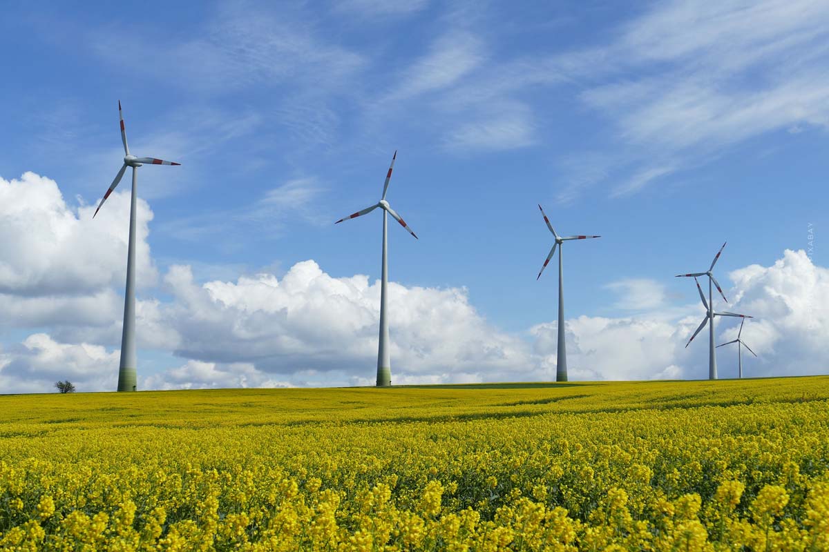 Windkraftwerke auf einer Wiese