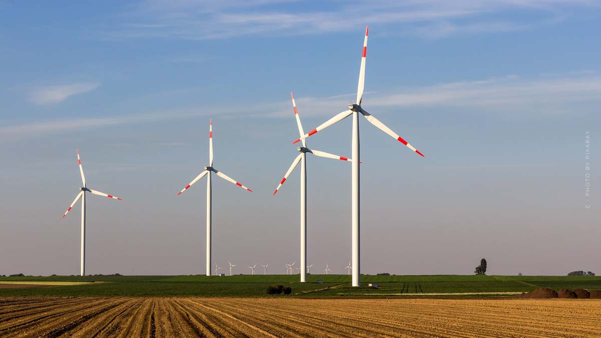 Windräder auf einem Feld