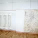 feuchtigkeit-feucht-haus-kueche-hinter-kuehlschrank-schimmel-heizung-gefahr-kueche-renovieren