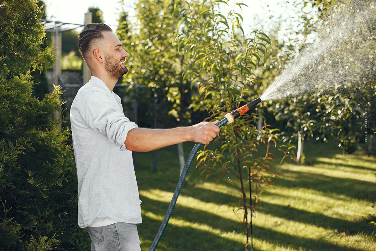 garten-gartenpflege-bewässern-rasen-mann-froh-weg-eigentümer-gemeinschaft