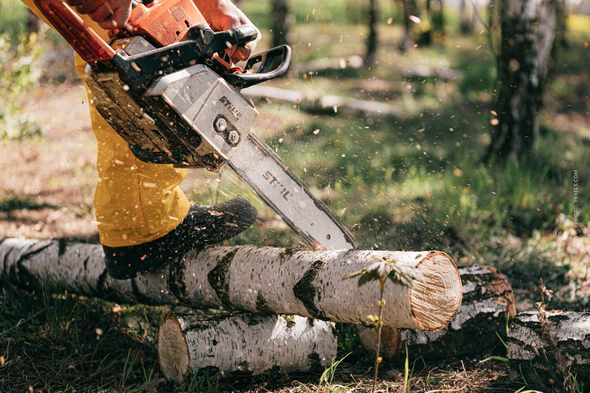 Holz Preis: Darum steigen die Preise für Baumaterial - Doku